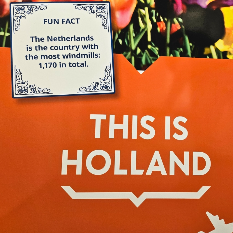 THIS IS HOLLAND Amsterdam educatie