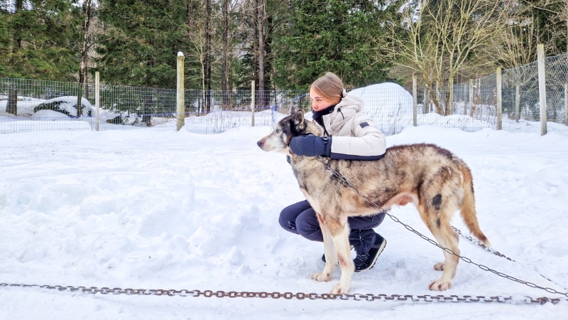 Tiener met een husky in Noorwegen