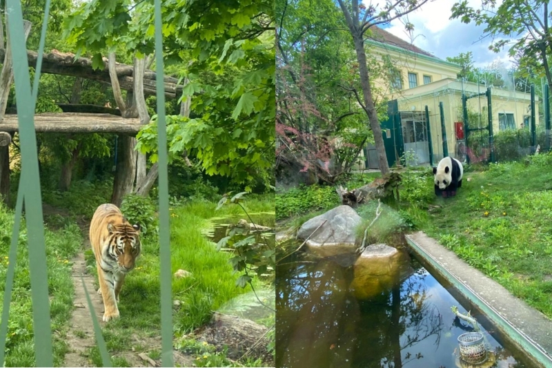 Tiergarten Schonbrunn
