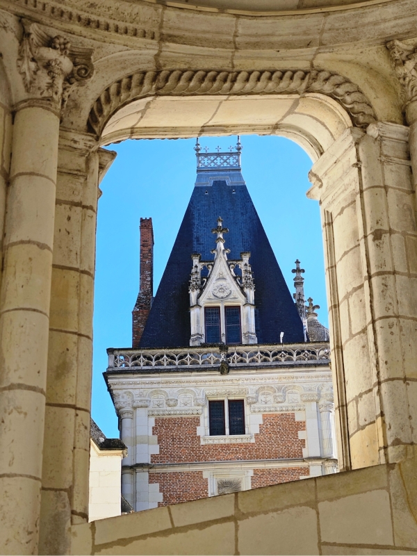 Tips Château Royal de Blois met kinderen