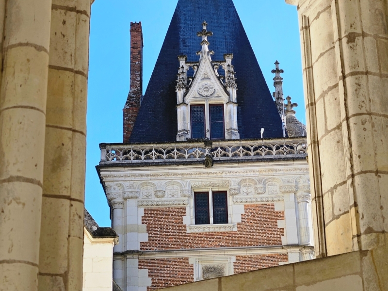 Tips Château Royal de Blois met kinderen