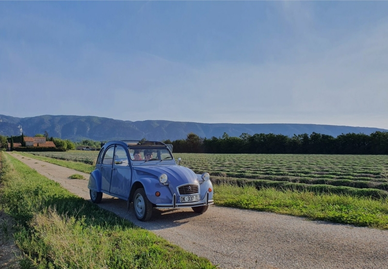 Tips Roadtrip Frankrijk met kinderen e-book