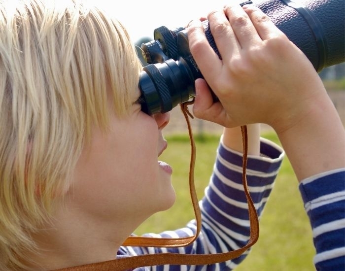 Tips Kaapstad met kinderen