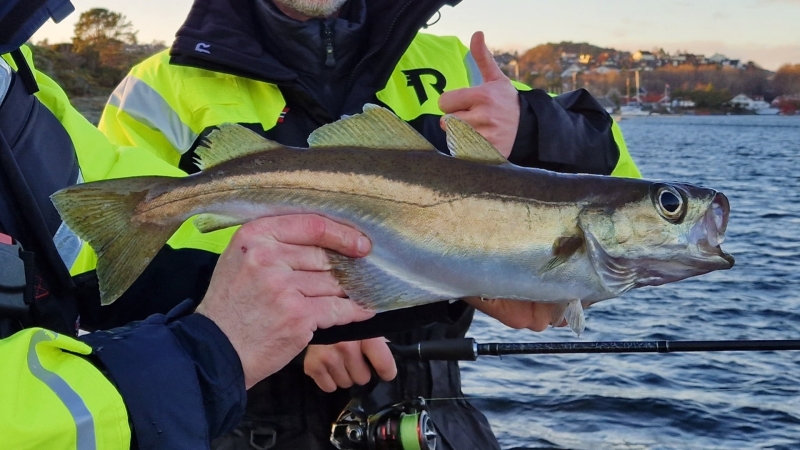 Tips voor vissen in Noorwegen met gezin