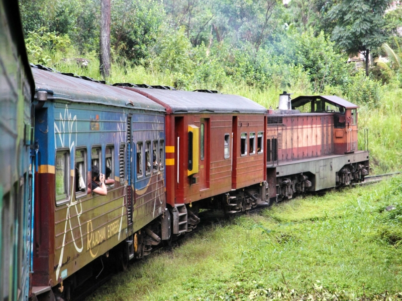 Treinreis naar Nuwara Eliya met kinderen