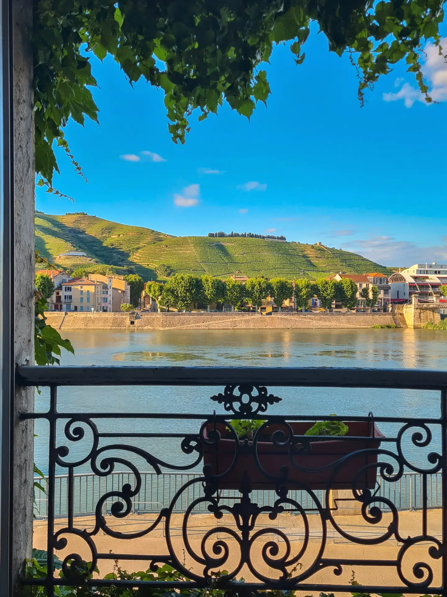 Uitzicht vanuit hotel op de Rhône en wijngaarden