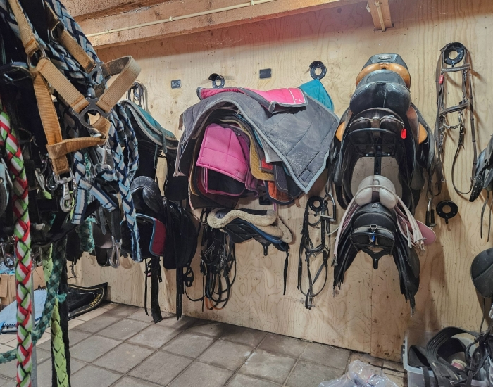 Vakantie met kinderen en paarden Brabant Vakantie met kinderen en paarden Brabant