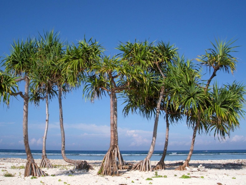 Vakantie op de Gili eilanden met gezin