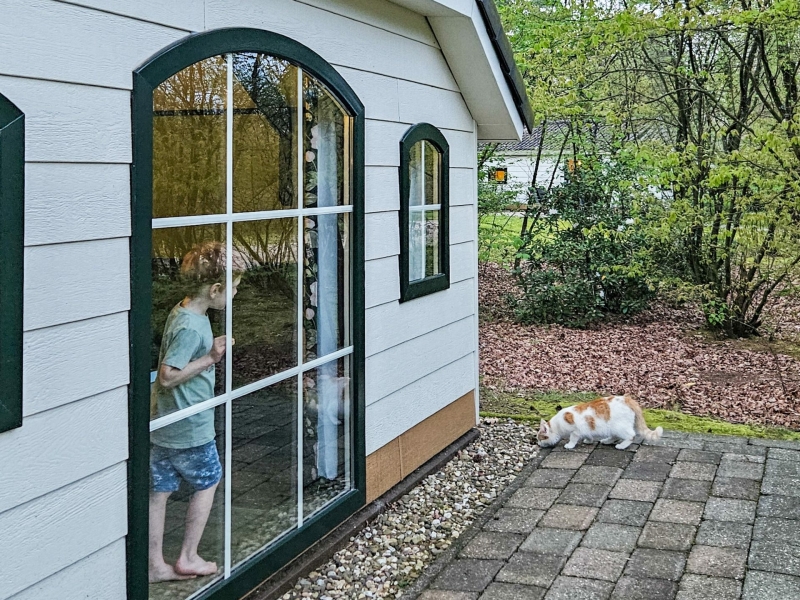 Vakantiepark Het Lorkenbos met kleuter