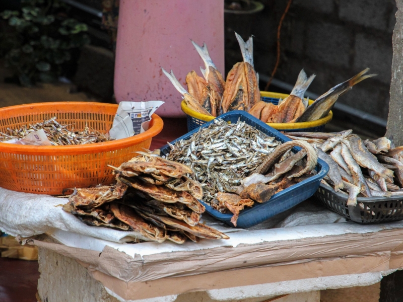 Vis op de markt in Negombo Vis op de markt in Negombo