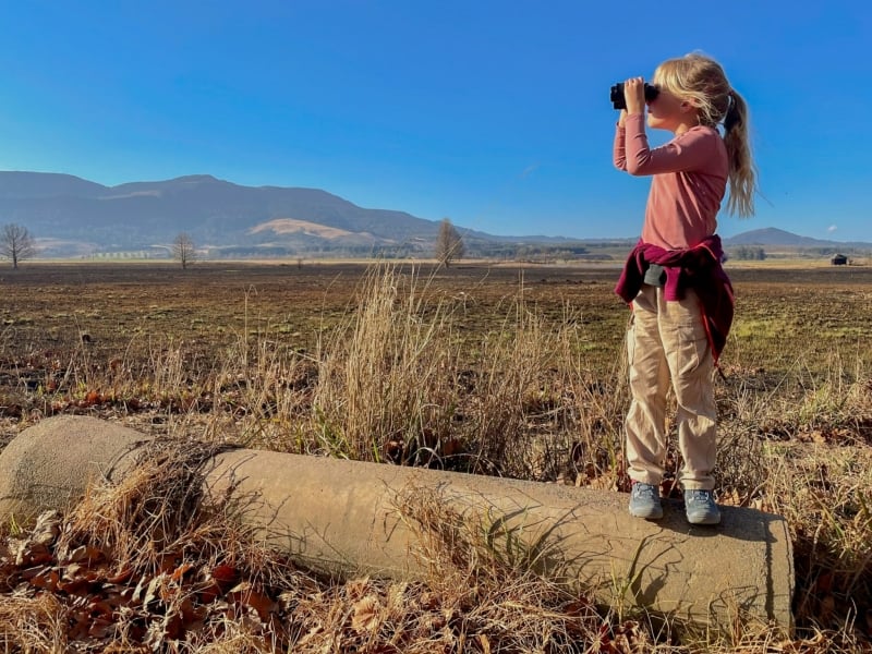 Vogels spotten in de Midlands