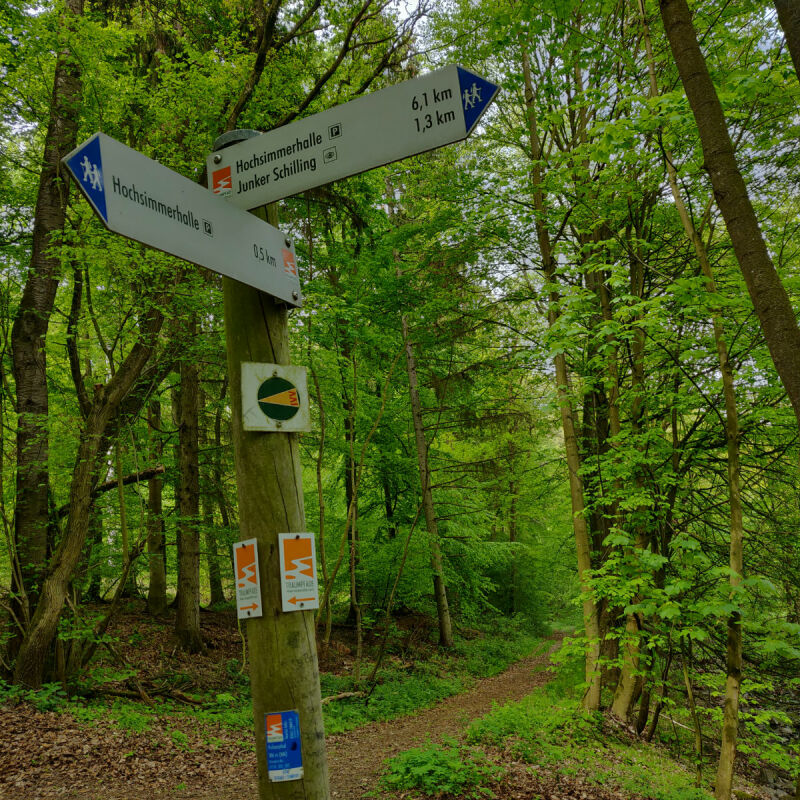 Kinderen wandelen op het Vulkanpfad (Vulkanenpad) in de Eifel
