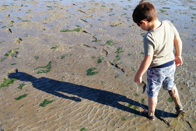 Wadlopen in Friesland met kinderen Wadlopen in Friesland met kinderen