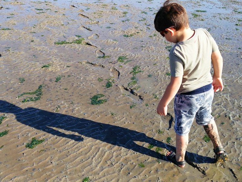 Wadlopen in Friesland met kinderen