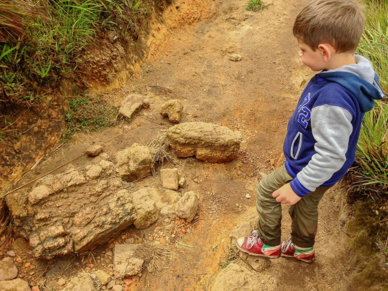 Wandelen bij Horton Plains met kleuter