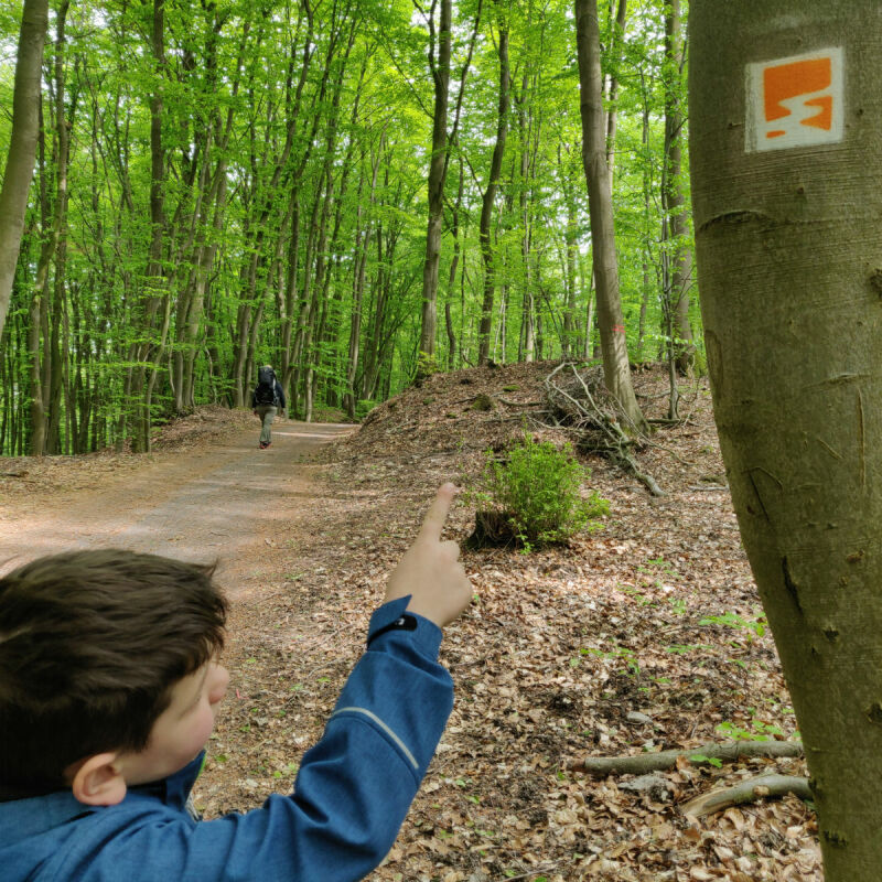 Kinderen wandelen over een smal pad op het Vulkanpfad in de Eifel