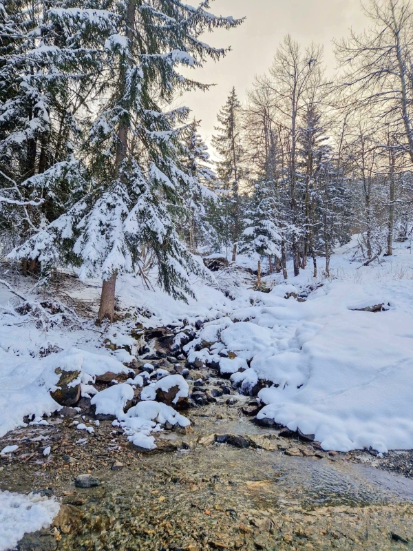 Wandelen in de sneeuw bij Meribel