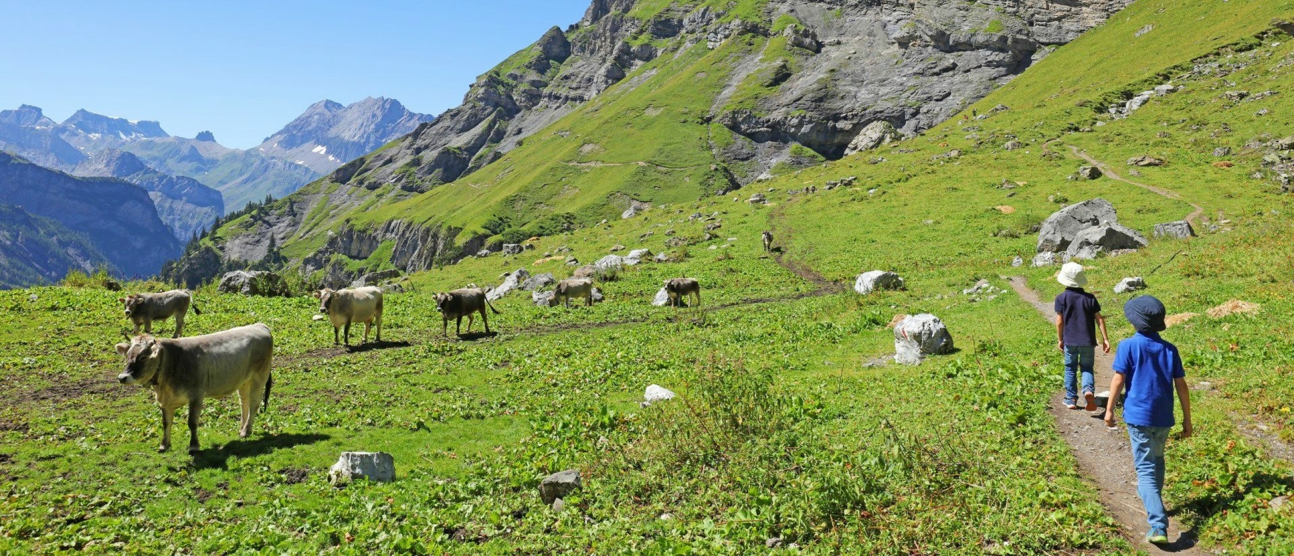 Ontdek deze Zwitserse parels voor avontuurlijke gezinnen