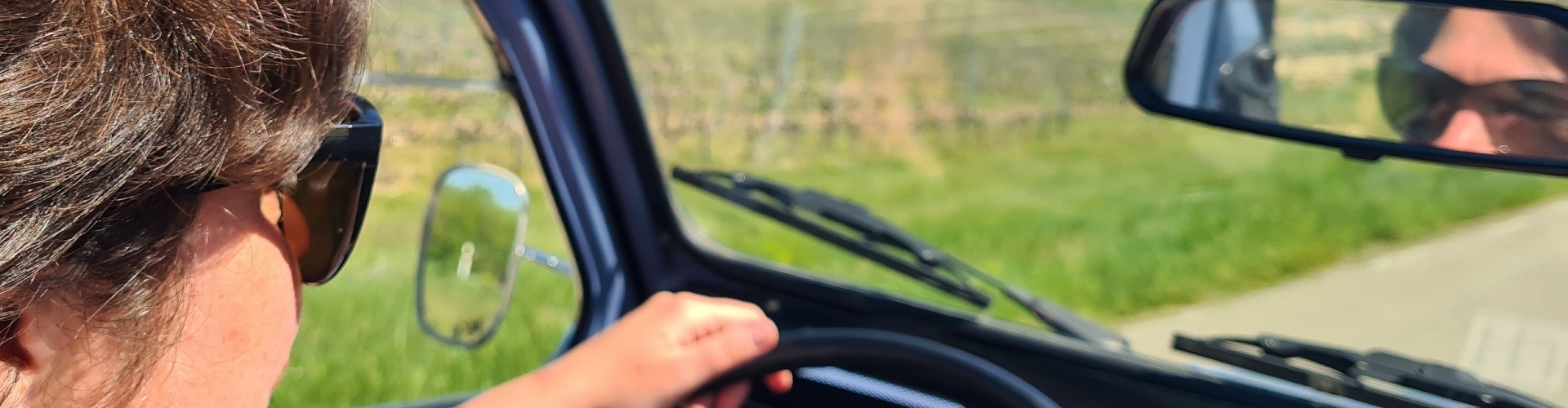 Wat is een leuke roadtrip met kinderen Wat is een leuke roadtrip met kinderen