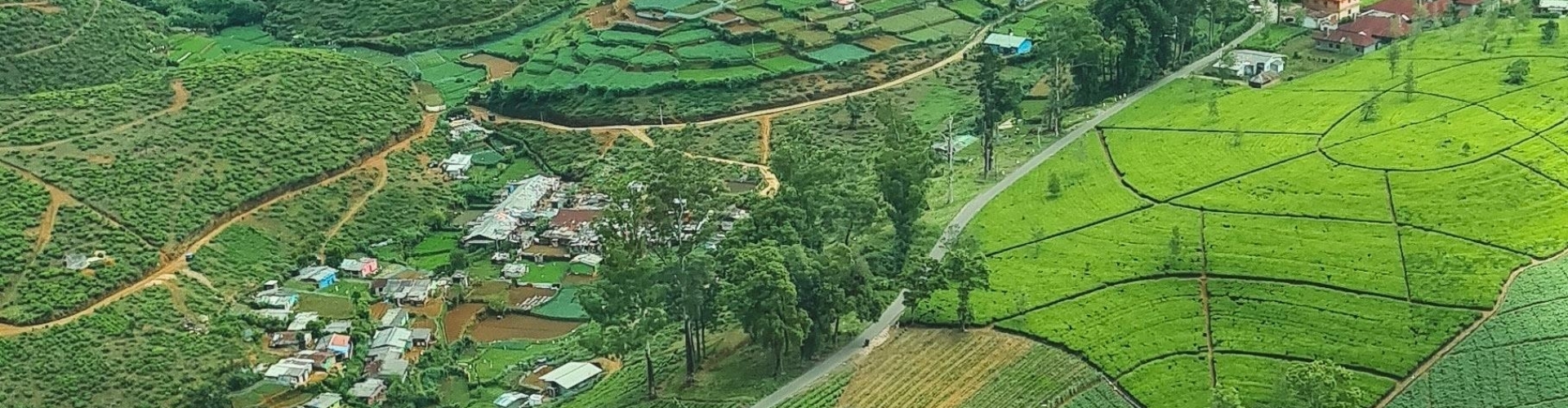 Watervliegtuig, uniek uitje in Sri Lanka Watervliegtuig, uniek uitje in Sri Lanka