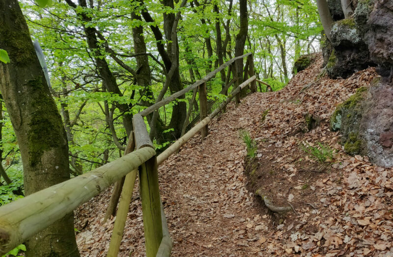 Bospad richting de grotjes (Sieben Stuben) langs het Vulkanpfad