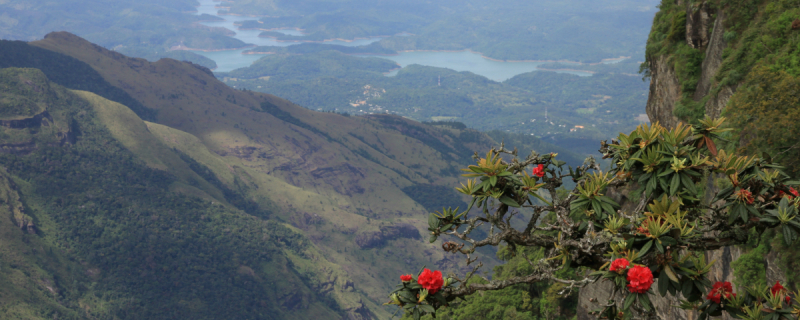 Horton Plains, World's End Sri Lanka