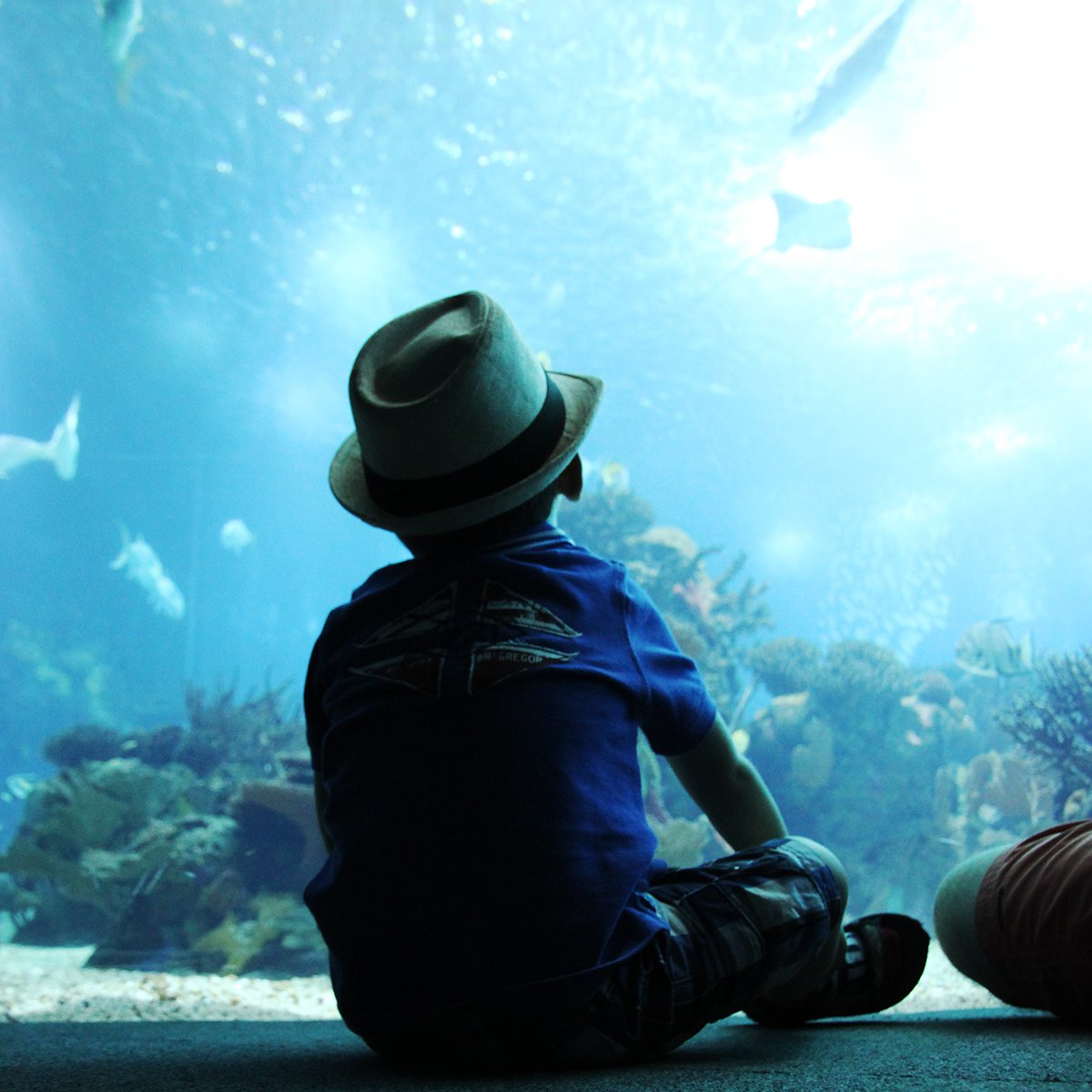 Aquarium van Lissabon met kinderen