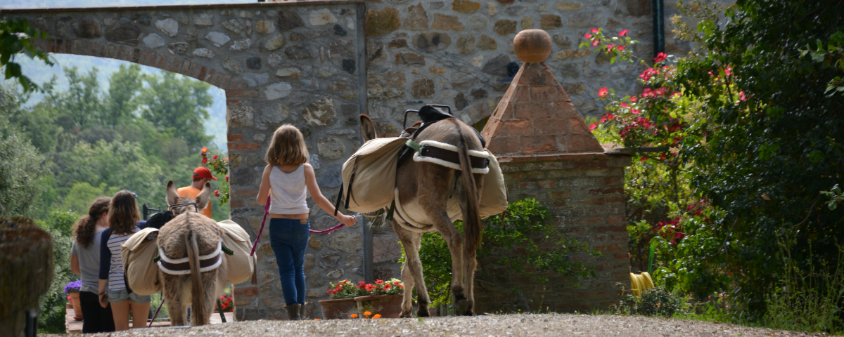 Wandelen door Toscane, met een ezel als gezelschap