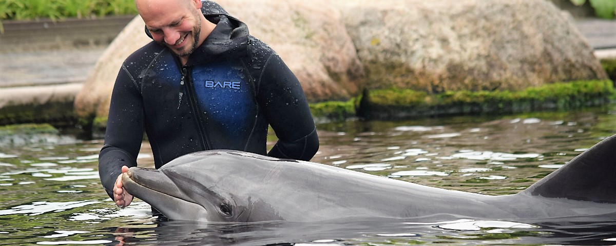 Bijzonder dagje Dolfinarium: ga in het water met de dolfijnen