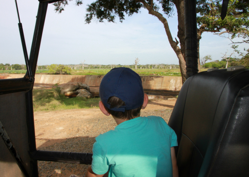 Safari Yala met kinderen