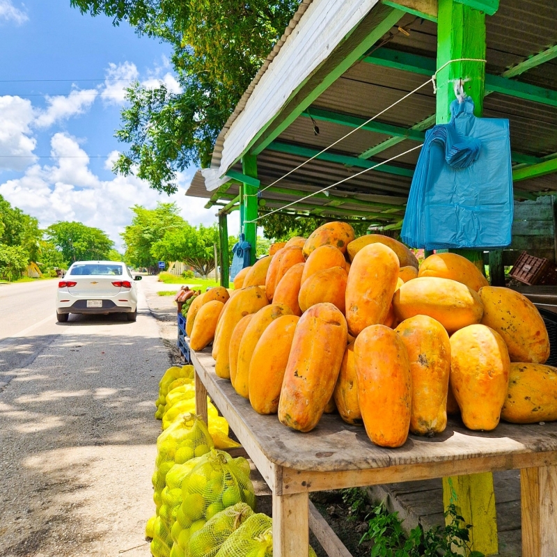 Papaya kraam langs de weg in Yucatán tijdens een roadtrip met huurauto