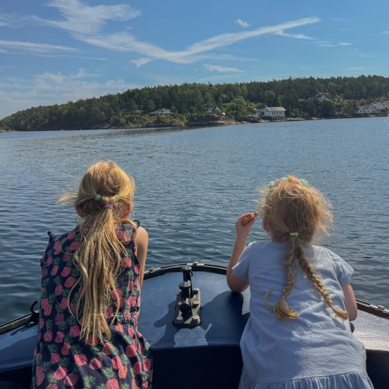 Zeehonden spotten in Noorwegen