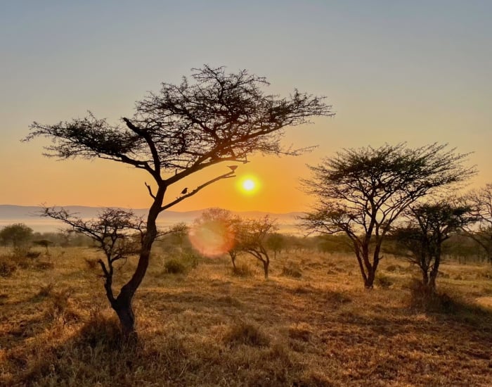 Zonsopkomst Manyoni Private Game Reserve