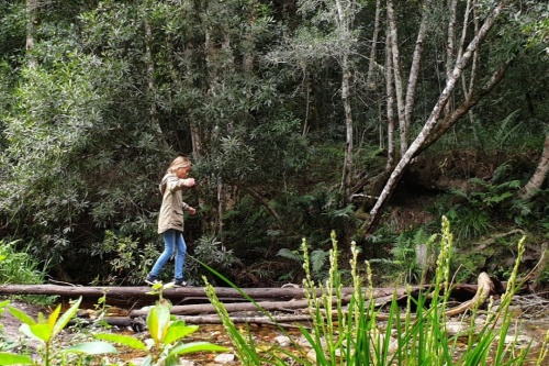 Tafelberg beklimmen Zuid Afrika