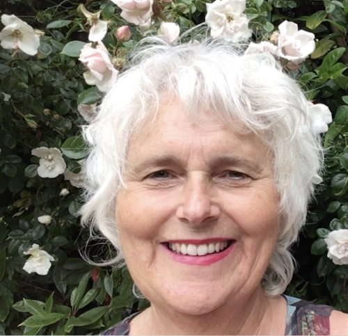 Fenneke Wortelboer droomhuis ontwerper Fenneke holistisch droomhuis ontwerper