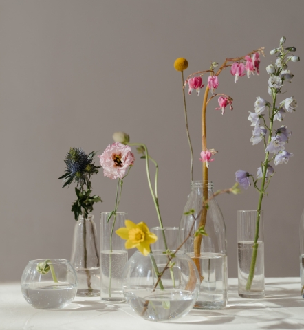 effect van kleur in je interieur