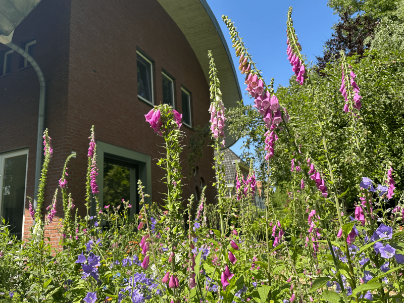 ontwerp huis in contact met de natuur