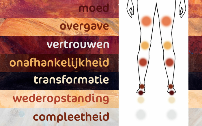 illustratie van de chakrapunten op de benen met daarnaast de thema's uitgeschreven met de bijbehorende kleuren als achtergrond
