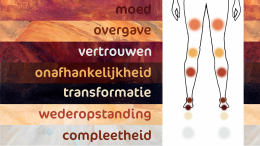 illustratie van de chakrapunten op de benen met daarnaast de thema's uitgeschreven met de bijbehorende kleuren als achtergrond