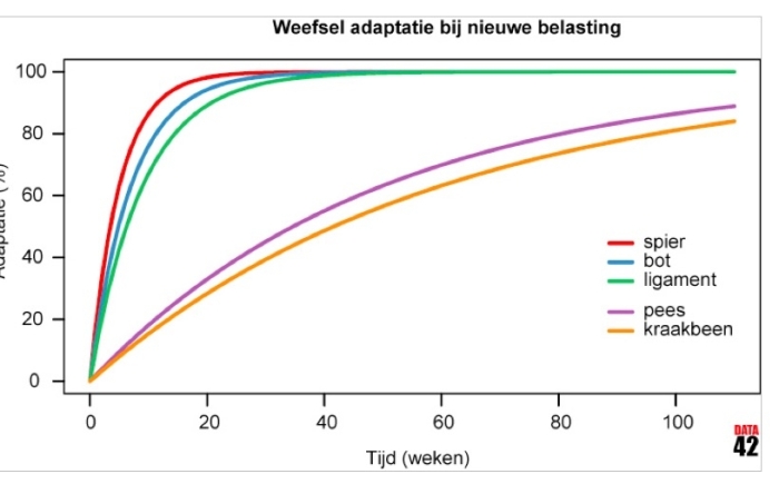 Train je knieën sterk met knie voorbij tenen oefeningen