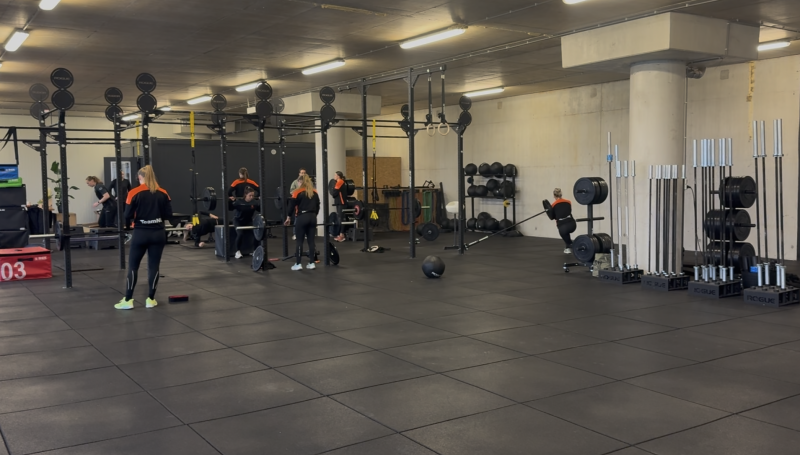 Stijn Haverkamp, fysiotherapeut Nederlands Dames Handbal Team