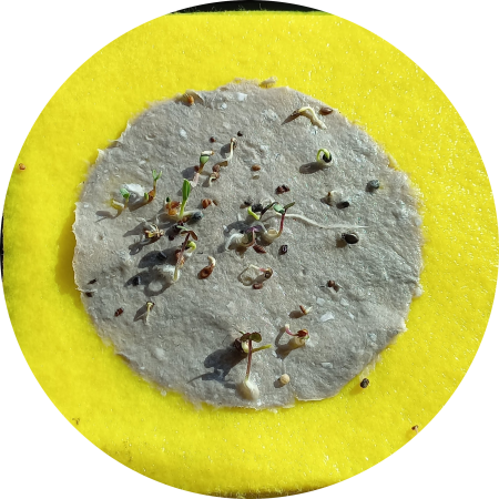 Bloemenzaadjes in zelfgemaakt papier