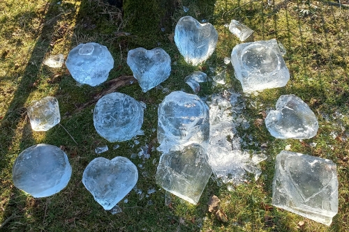 workshop ijskunstenaars