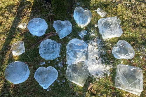 workshop ijskunstenaars