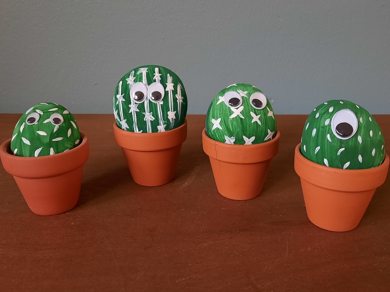 Zelf cactussen maken bij De Knutselmeester Knutselbox