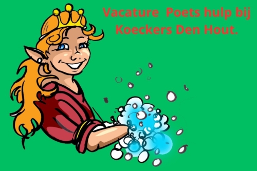 Schoonmaak heldin gevraagd