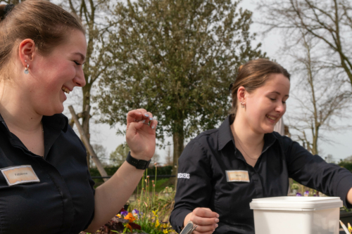 Collega's gezocht