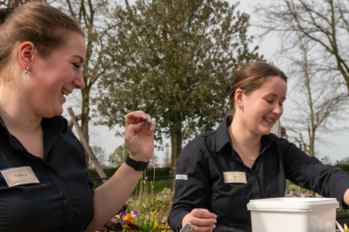 Collega's gezocht