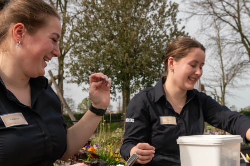 Collega's gezocht