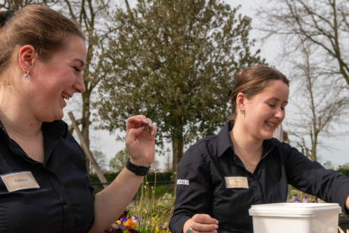 Collega's gezocht